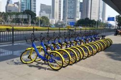 【8分钟科普下】桂林市工厂咨询电话号码_哔哩哔哩